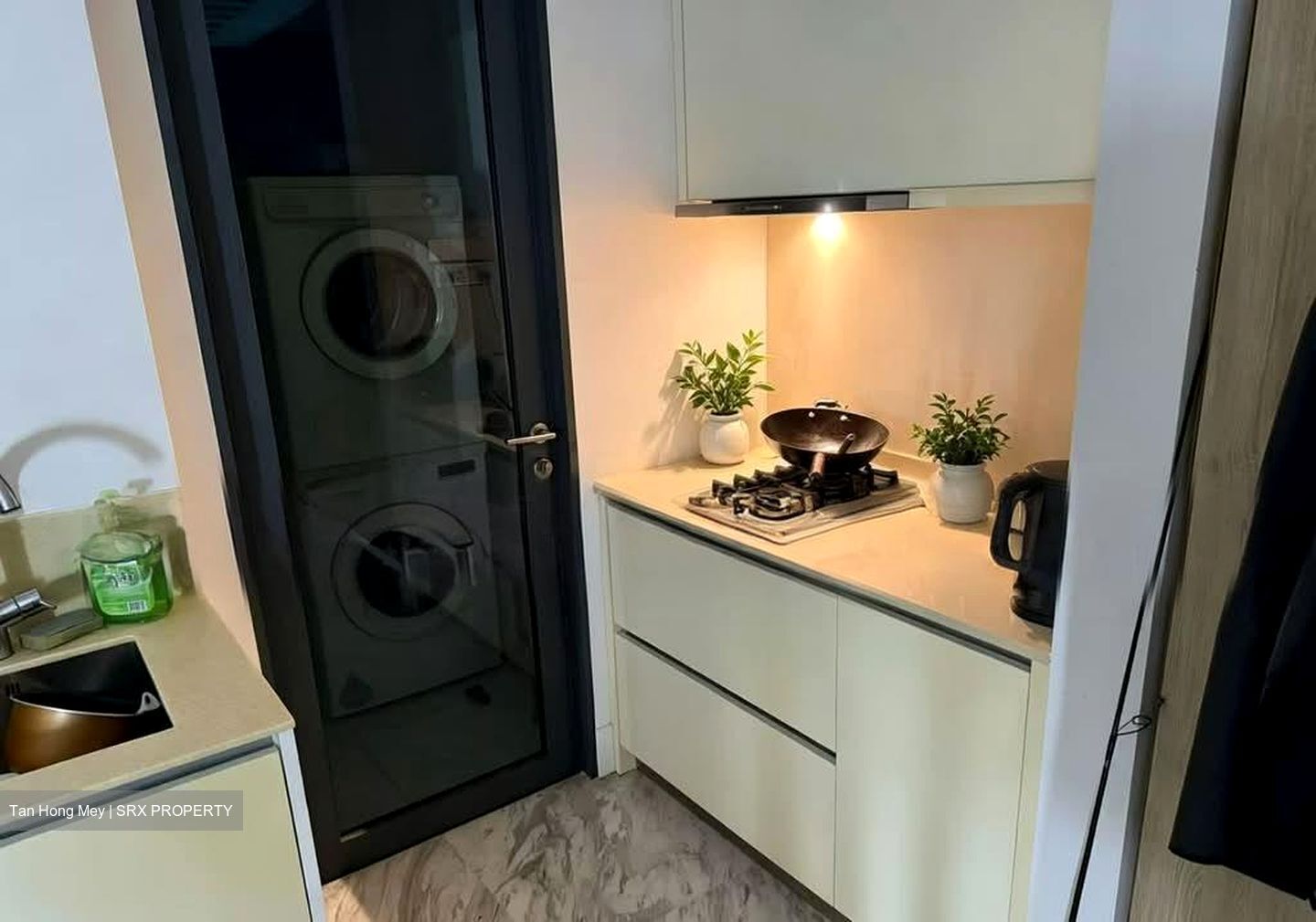 Viva (D11), Condominium #565239161
